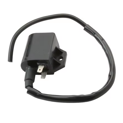 Ignition Coil Italjet Derbi Formula Velocifero Vamos 50 AC Lc