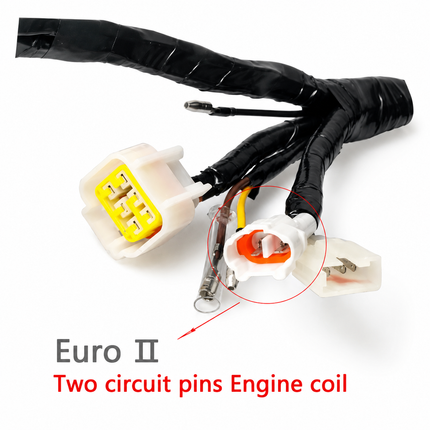 Wiring Harness Yamaha Ybr 125 Euro I Ii Complete Circuit Cable Assembly
