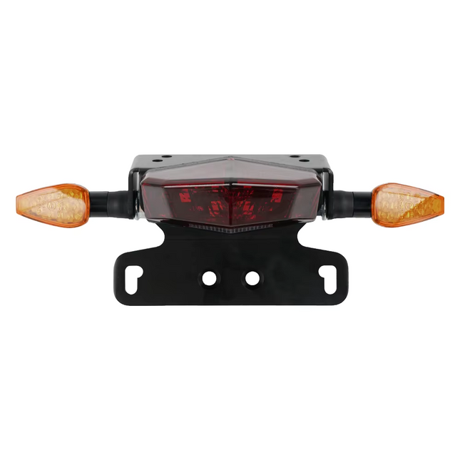 License Plate Holder Brake Light Kit 00-24 Suzuki Dr-z S Sm 400 Rear 12 LED 10.5mm Turn Signal Holes