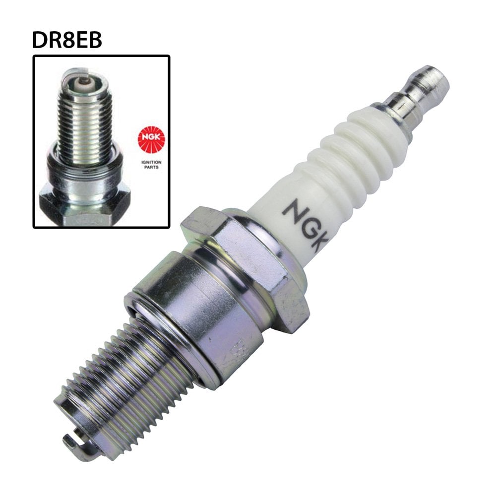 NGK DR8EB Spark Plug (4855)