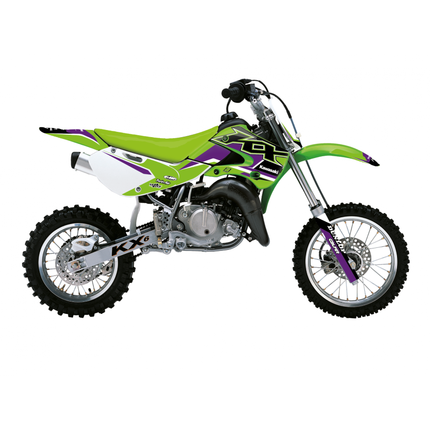 00-24 KX65 DREAM5 Graphics, Blackbird 2404AB
