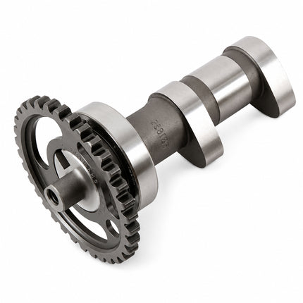 Camshaft LTR450 06-09, Hotcams 2073-1E