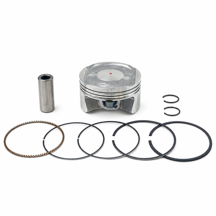 Cylinder Piston Kit 23 Cfmoto Cforce 850 Touring CF800AU-2AF 0800-023100-0001 0800-023100-0002