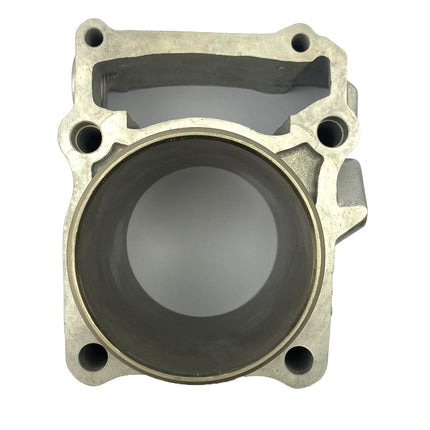 Cylinder Rebuild Kit KLX250 KLX300 Std, Kawasaki 11005-0656 11005-0655 11005-1817 11005-1983 11005-0112