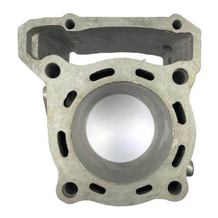 Cylinder Rebuild Kit KLX250 KLX300 Std, Kawasaki 11005-0656 11005-0655 11005-1817 11005-1983 11005-0112