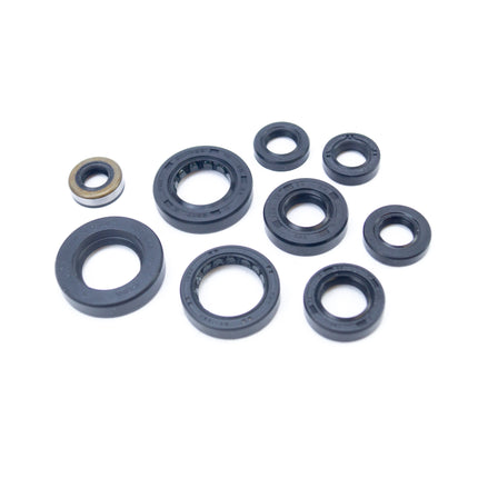 Oil Seal Set 84-85 ATC200S X, Winderosa 822341 Honda