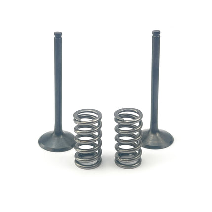 Kit Ex Valve+spring YZF450, Prox 28.SES2444-1