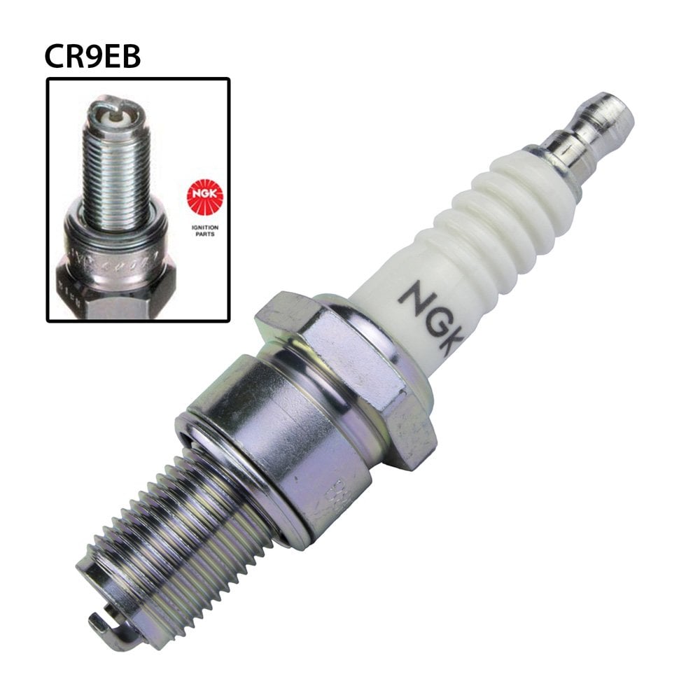 NGK CR9EB Spark Plug (6955)