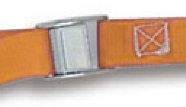 Cam Buckle Straps 200kg High-Grade Polypropylene 1.5m - Robur 8188F 1,5