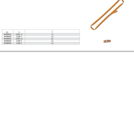 Cam Buckle Straps 200kg High-Grade Polypropylene 5m - Robur 8188F 5