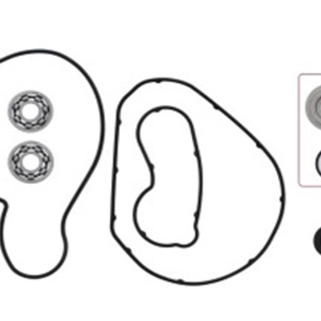 Water Pump Repair Kit With Bearings 721317
