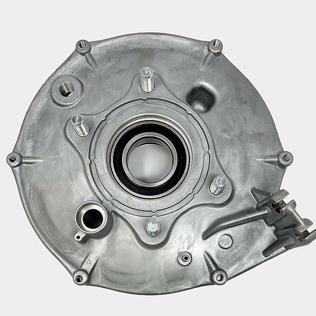 Rear Brake Backing Plate Honda 88-00 Trx 300 Fourtrax 2X4 4X4 43100-HC4-010 43010-HM5-A10