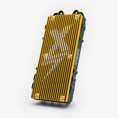 EBMX X-9000 Motor Controller Version 2 Gold for E-ride Pro SS