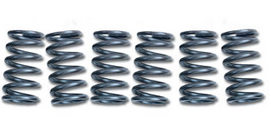 Clutch Spring SET/6 Ebc CSK080