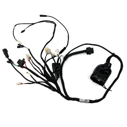 Eride Pro LE1 Main Wiring Harness Loom Assembly