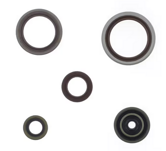 Engine Oil Seal Set Beta 250/300 13-25, Athena P400060400014