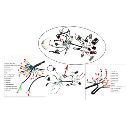 Wiring Loom Lifan Engine 125-150, Electric Start, Lighting Loom