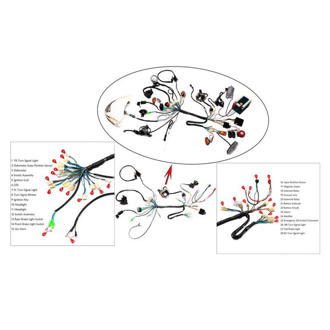 Wiring Loom Lifan Engine 125-150, Electric Start, Lighting Loom