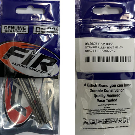 Titanium Allen Bolt M6x55, Grade 5 Ti - Pack Of 2