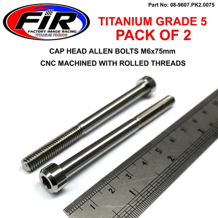 Titanium Allen Bolt M6x75, Grade 5 Ti - Pack Of 2