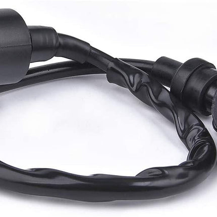 Coil Ht Ignition Eton