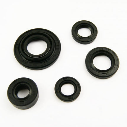 OIL SEAL SET [PIT BIKE], 17x29x5, 13.7x24x5, 10x24x5, 18.9x30x5, 30x42x4.5