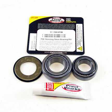 Steering Bearing Seal Kit 77-18 Honda Triumph Pivot Works PWSSK-H11-000 17-1903.PW