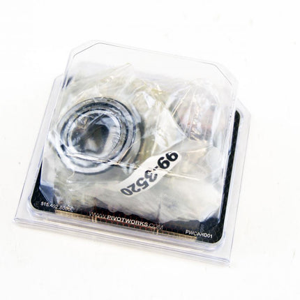 Steering Bearing Seal Kit 77-18 Honda Triumph Pivot Works PWSSK-H11-000 17-1903.PW