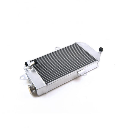 Radiator Banshee YFZ350 87-07, Banshee ATV, 2GU-12461-01-00, AC-10000