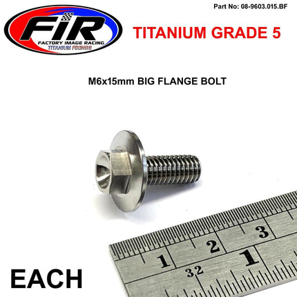 Titanium GR5 Bolt M6 x 15mm Each, Flange OD: 15.90mm / Hex Size: 8mm, / Panel Bolt Fixing Plastic