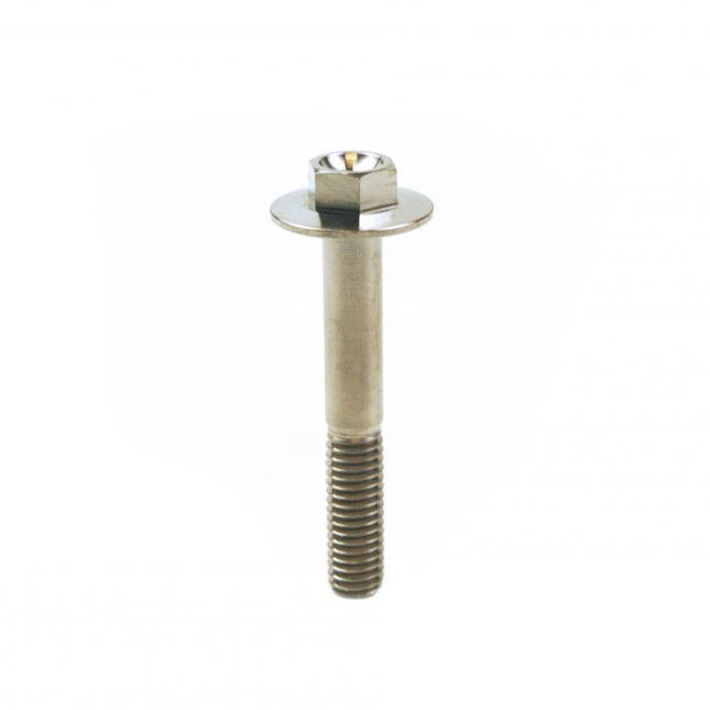 Titanium GR5 Bolt M6 x 40mm Each, Flange OD: 15.90mm / Hex Size: 8mm, / Panel Bolt Fixing Plastic