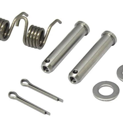 Foot Peg Springs & Pins Beta 300RR, FIR Brand ASFP-23