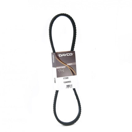 Accessory Belt Dayco 17380 John Deere Toro, Generator Starter Water Pump Belt