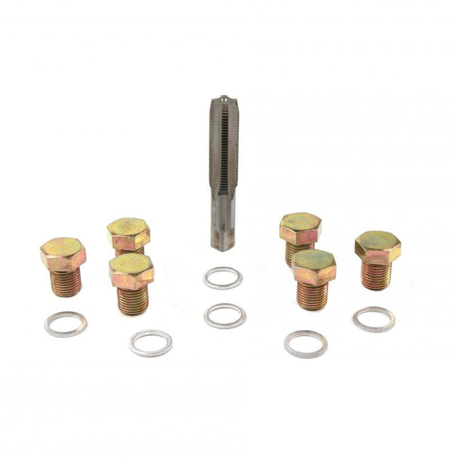Oil Drain Plug Thread Repair Kit M13x1.25 From M12 6 Plugs 6 Washers Tap