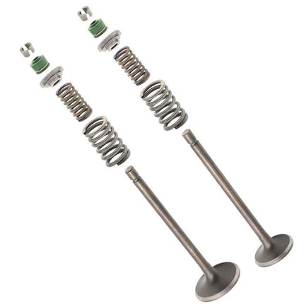 Valve Spring & Seal Repair Kit Honda XR200R 81-91 XL185S 79-83 ATC200 14711-437-000