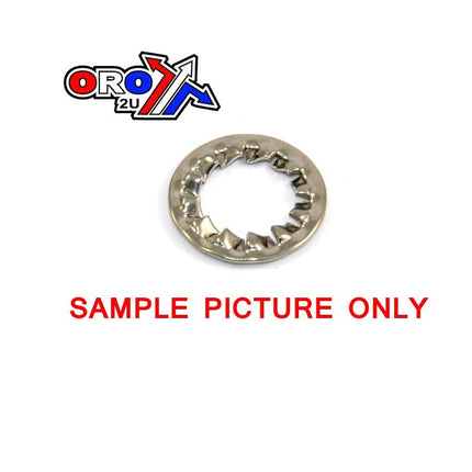M10 Shakeproof Lock Washer Bzp