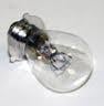 Light Bulb 12V 45/40W 3-TAG