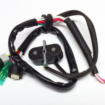 Pickup Pulsar Coil YFM350FW, 1UY-85580-20-00 ATV Yamaha, AT-01610