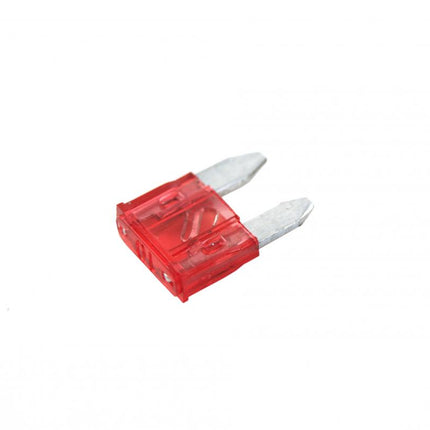 10 Amp. Mini Fuse Pack Of 10