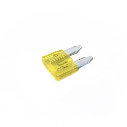 20 Amp. Mini Fuse Pack Of 10