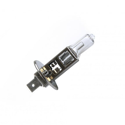 Light Bulb 12V 55W Halogen H1