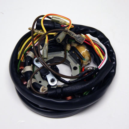 Stator Coil Polaris 3084974, APO4001, 3086860 Magnum 425