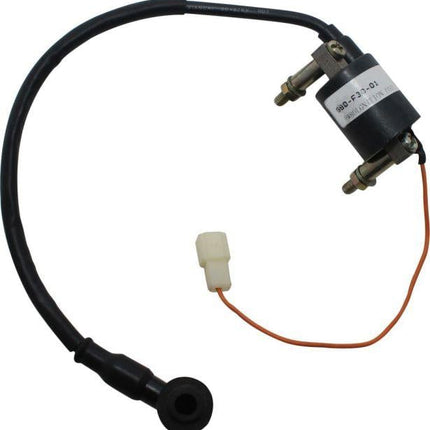 Coil Ignition Yam Pw 80 83-06, 23X-82310-40-00, 43G-82310-40-00