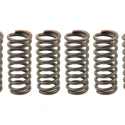 Clutch Spring SET/6 CSK014
