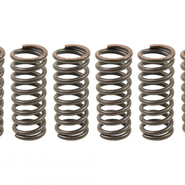 Clutch Spring SET/6 CSK014