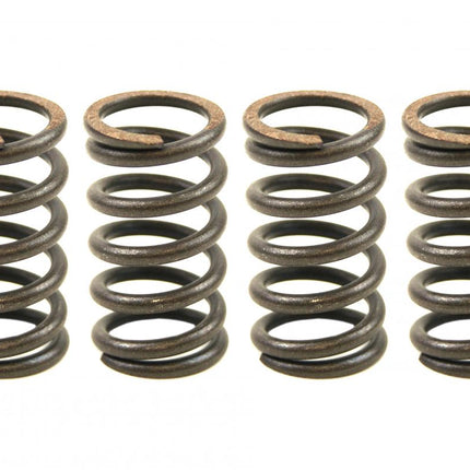 Clutch Spring Set 4 Ebc CSK004