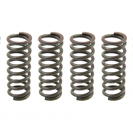Clutch Spring Kit SET/6 Ebc CSK049