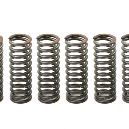 Clutch Spring SET/6 Ebc CSK058
