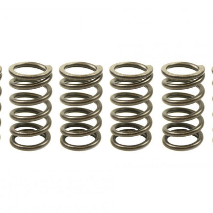 Clutch Spring SET/6 Ebc CSK007