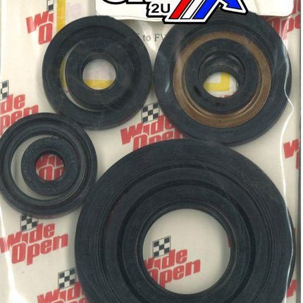 Oil Seal Set YFB250FW